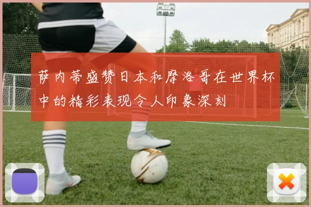 萨内蒂盛赞日本和摩洛哥在世界杯中的精彩表现令人印象深刻